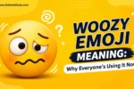 Woozy Emoji Meaning: Why Everyone's Using It Now